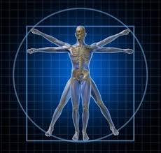 Human Anatomy & Physiology for O & P Professionals - Webcast