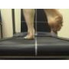 Basic Observational Gait Analysis - Webcast